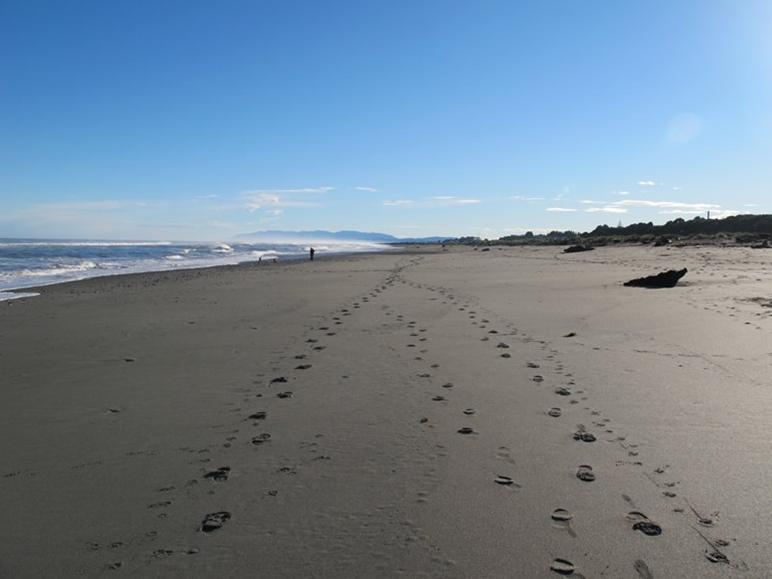 Shining Star Beachfront Accommodation Hokitika Dış mekan fotoğraf